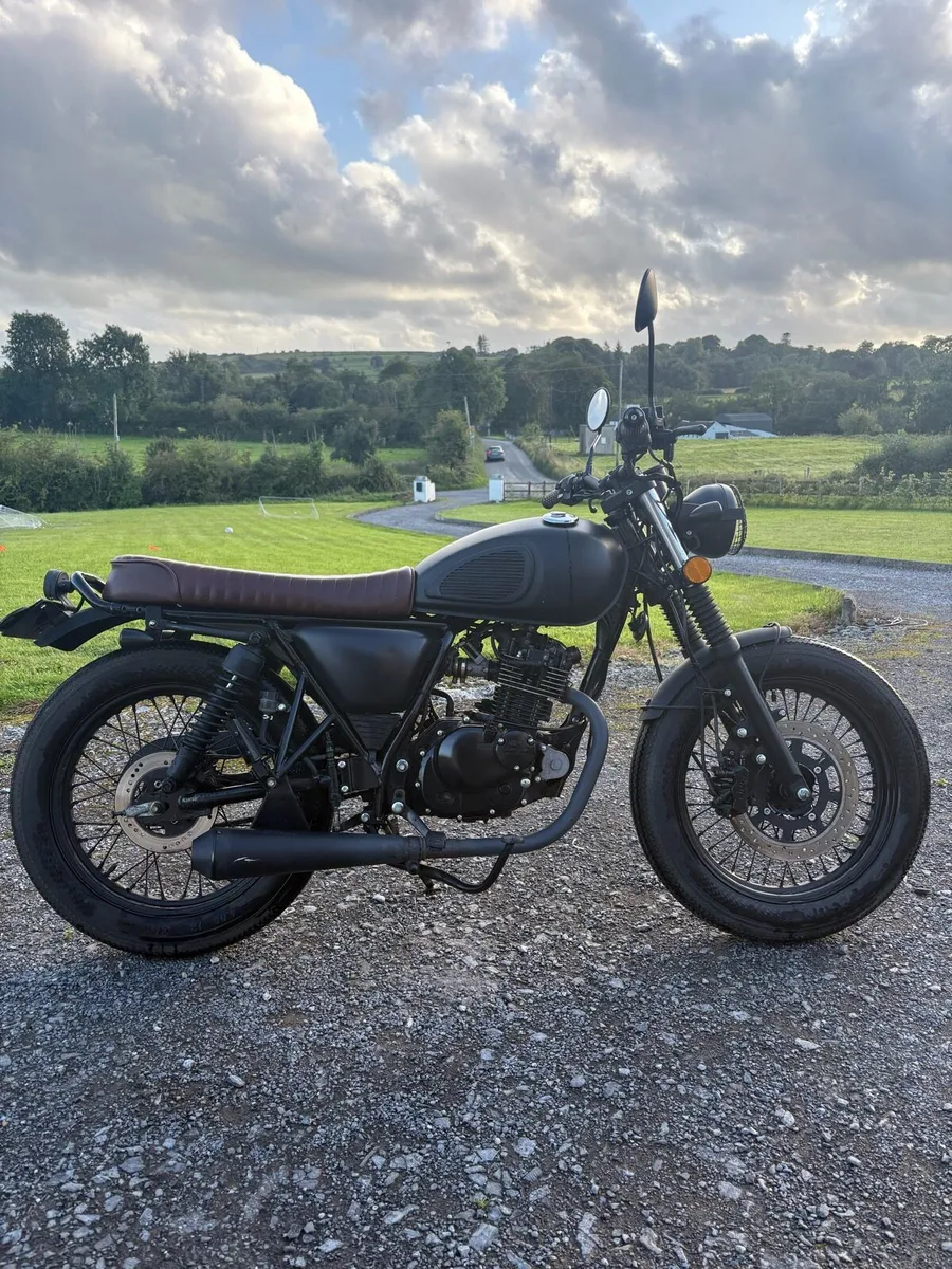 Mutt Mongrel - Image 1