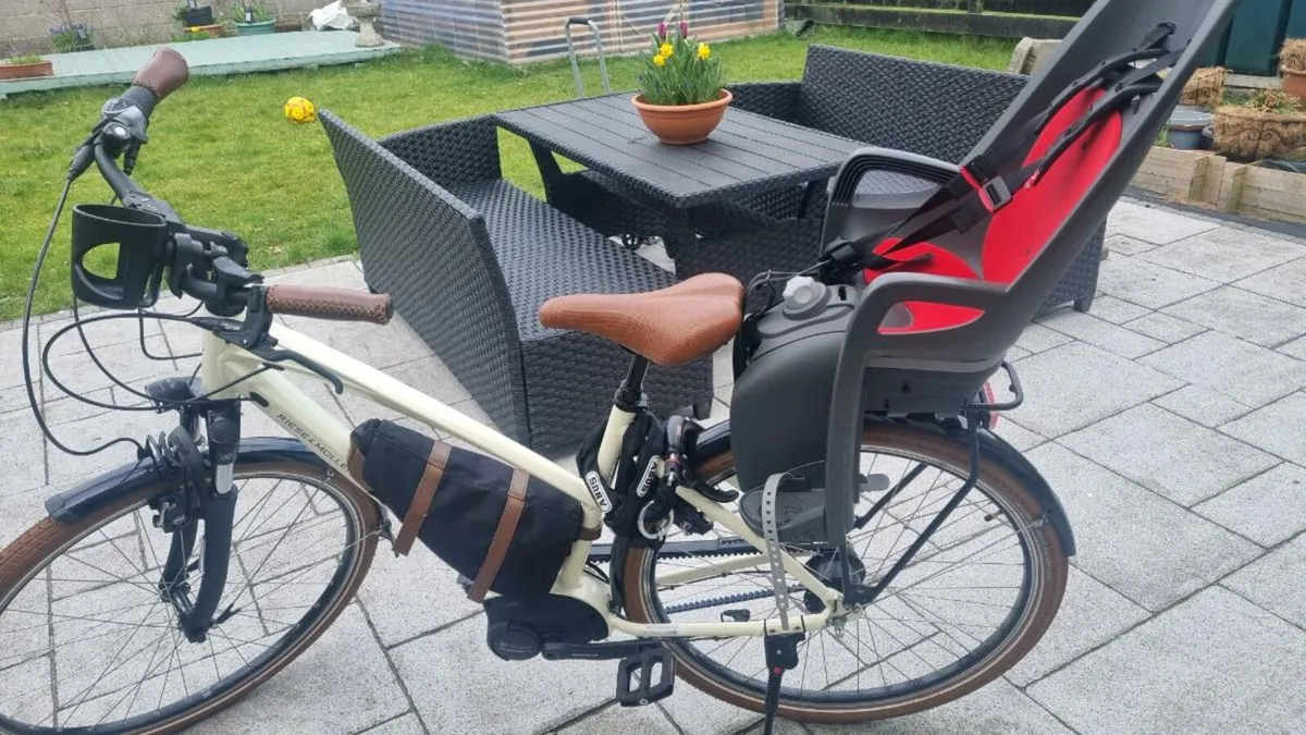 Riese and Muller Cruiser Mixte Silent ebike - Image 1