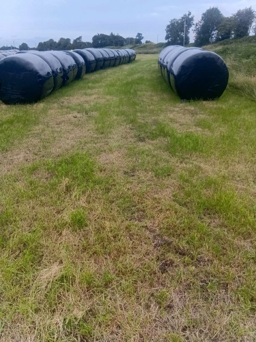 Haylage