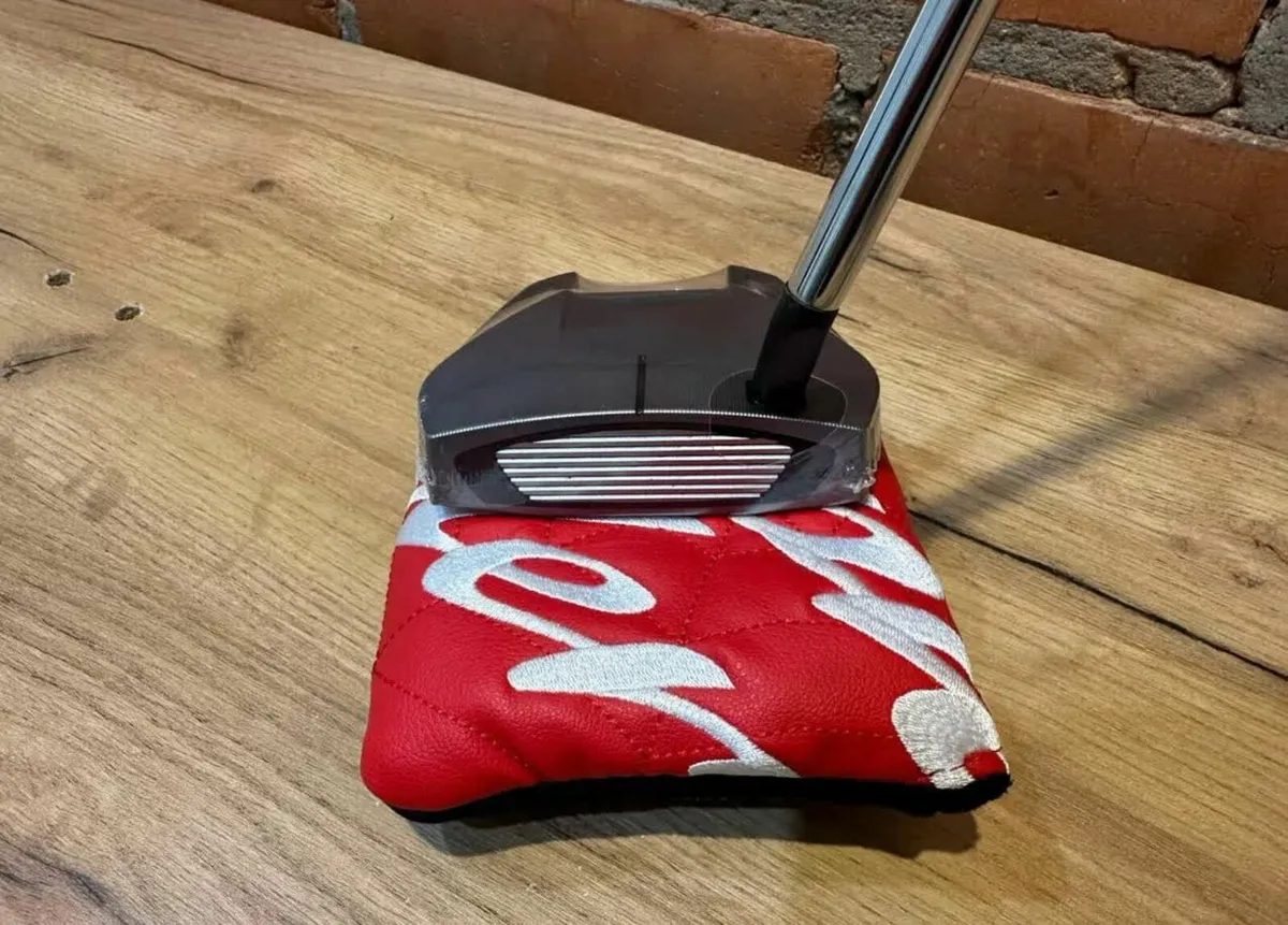 NEW TaylorMade Spider GT Silver - Image 2