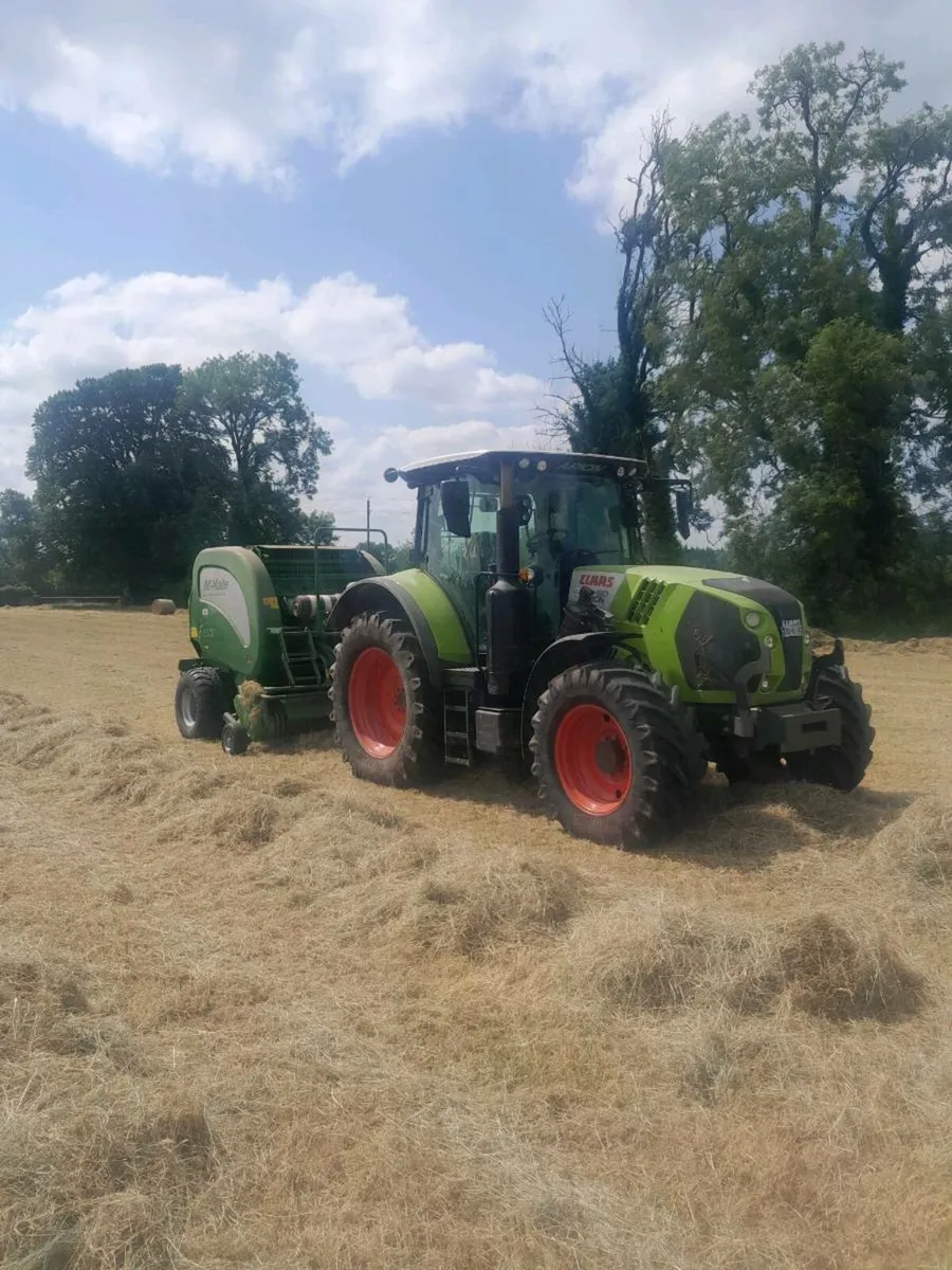 250 Bales of Quality Hay - Image 4