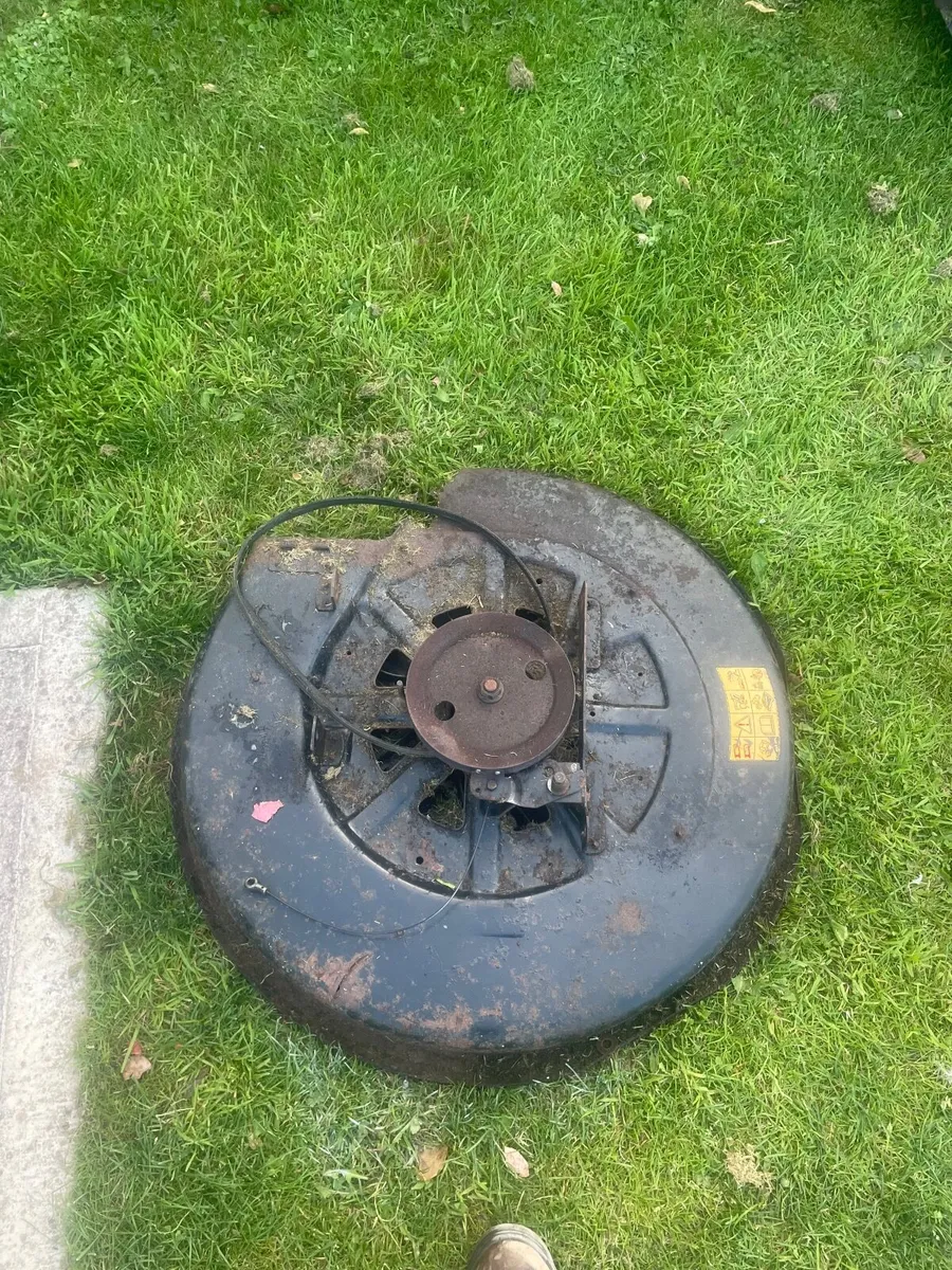 MTD Lawnflite Murray - Image 1