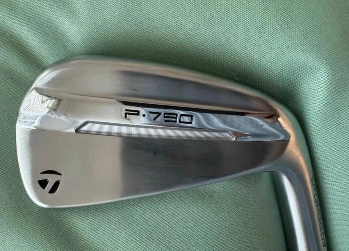 TaylorMade P790 Irons 5PW/GW DG Mid115 R300 Shafts - Image 2