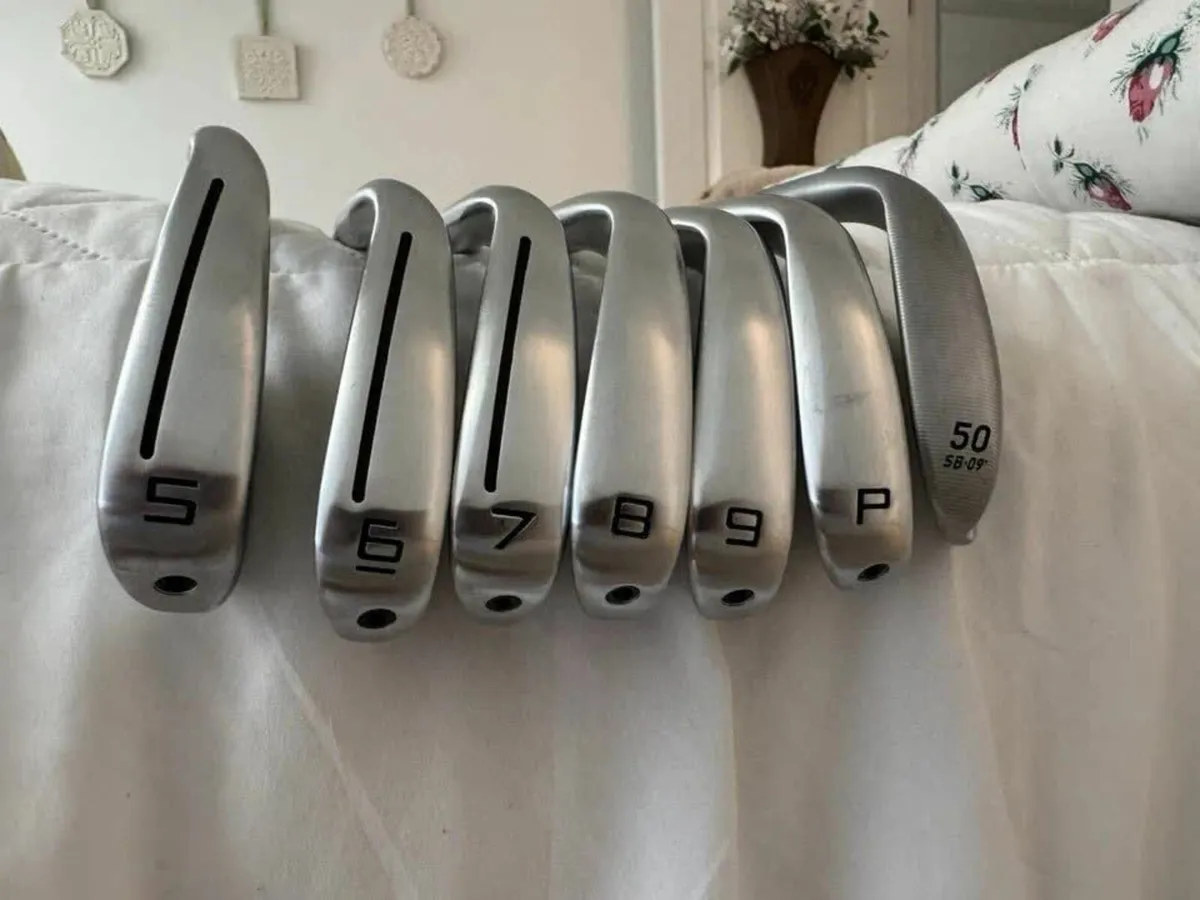 TaylorMade P790 Irons 5PW/GW DG Mid115 R300 Shafts - Image 1