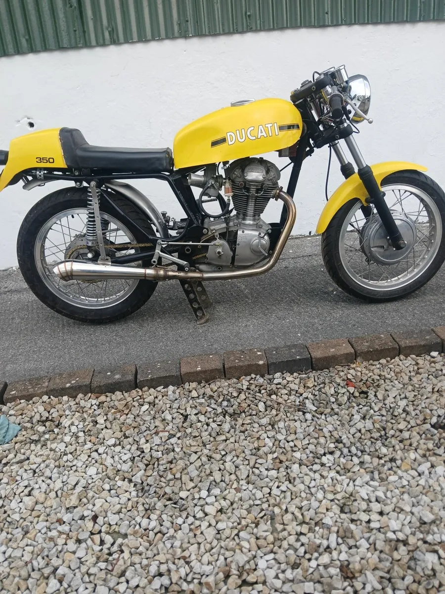 DUCATI Sebring 1965 - Image 3