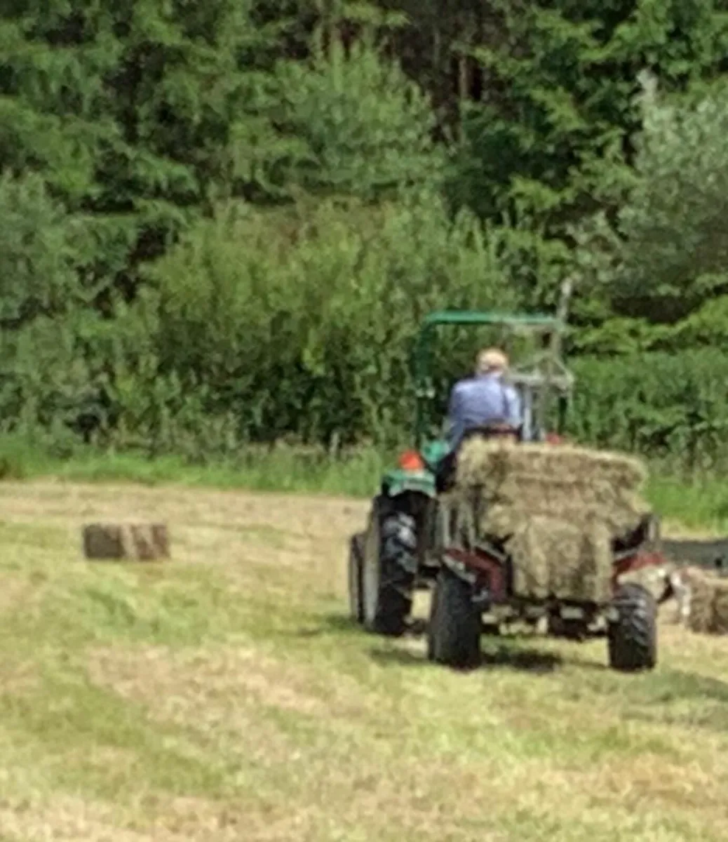 Small Square Hay Bales - Image 4
