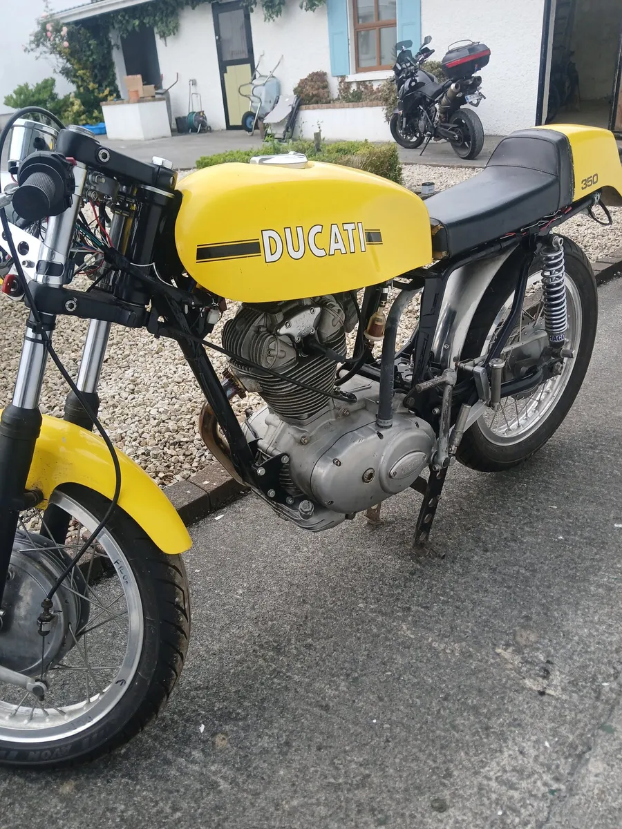 DUCATI Sebring 1965 - Image 2
