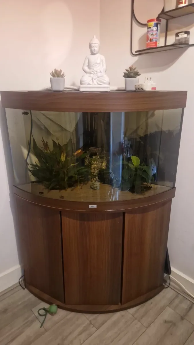 Fish tank 190L with cabinet