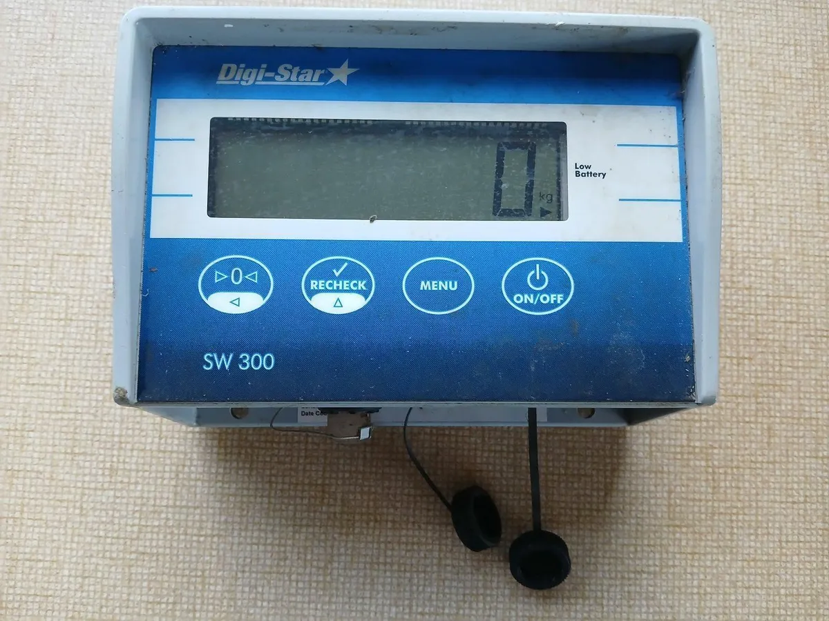 Weighing scales for Livestock - Image 3
