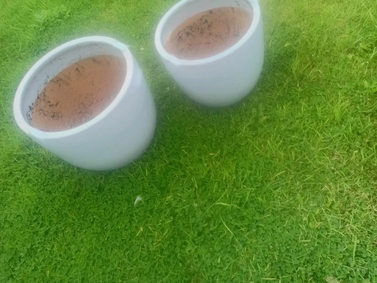 Flower pots - Image 1