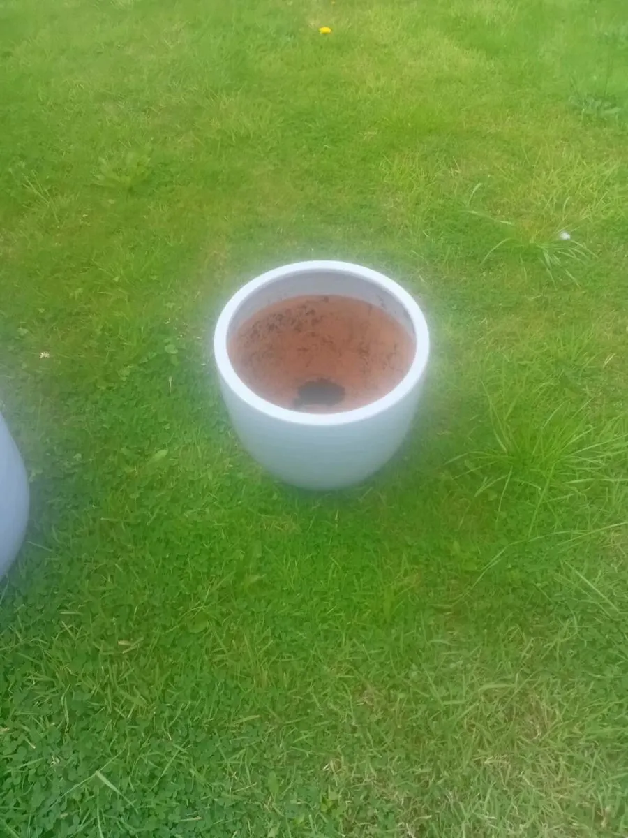 Flower pots - Image 2