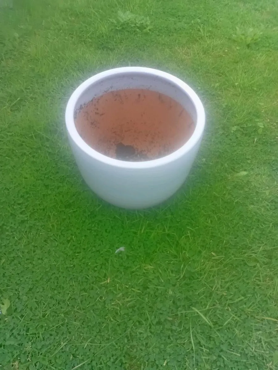 Flower pots - Image 3
