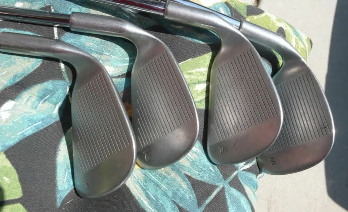 Ping Eye 2 Plus 3-SW Black Dot - Cushin JZ A-Flex - Image 2