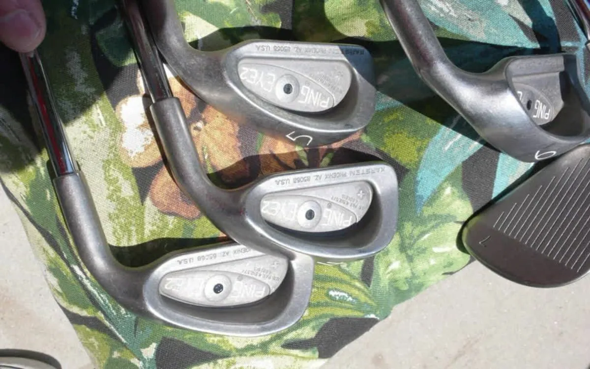 Ping Eye 2 Plus 3-SW Black Dot - Cushin JZ A-Flex - Image 4