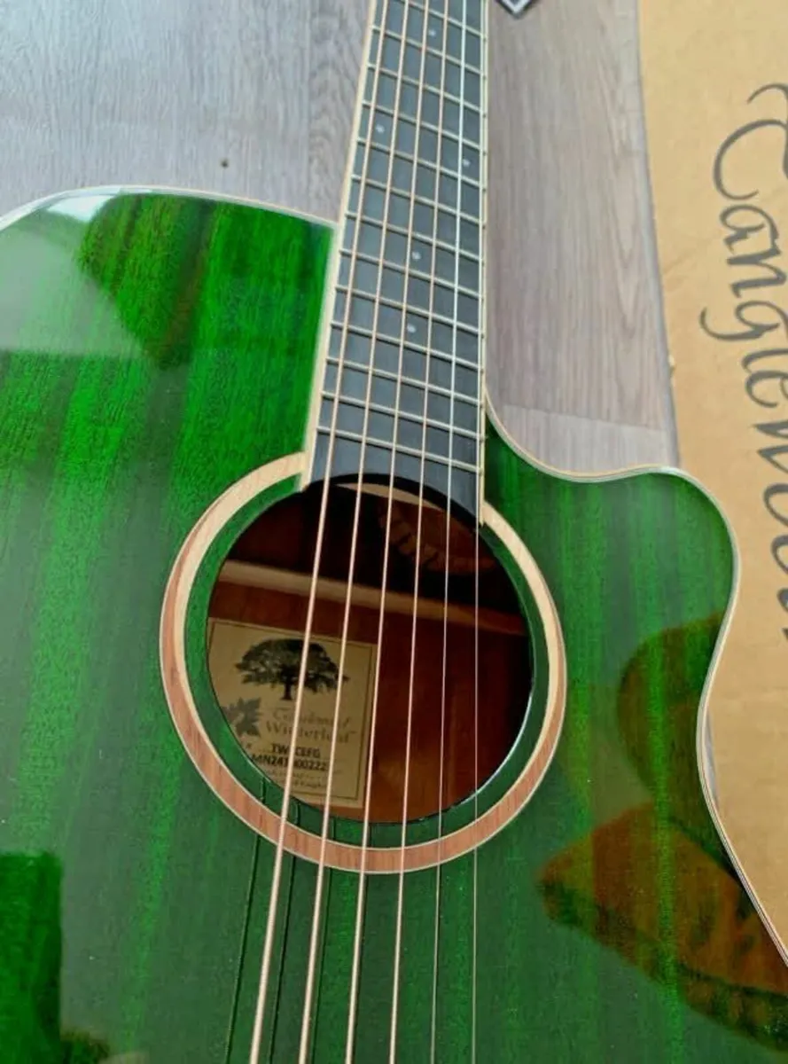 Electro Acoustic Guitar By Tanglewood Model - Image 2