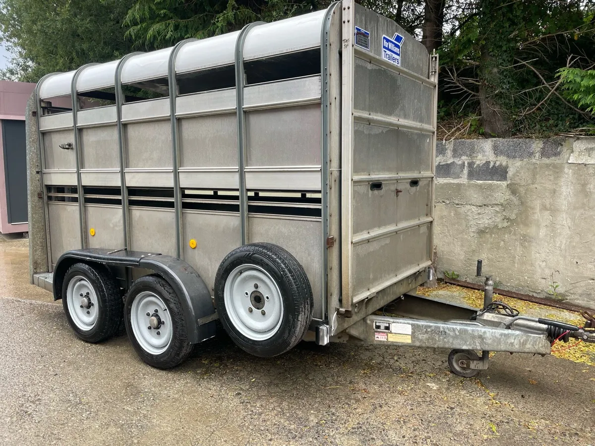 Ifor Williams trailer - Image 1