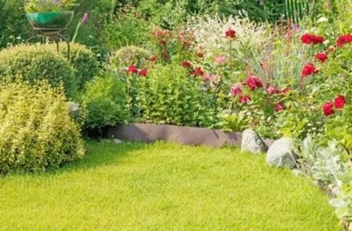 Lawn and garden maintenance