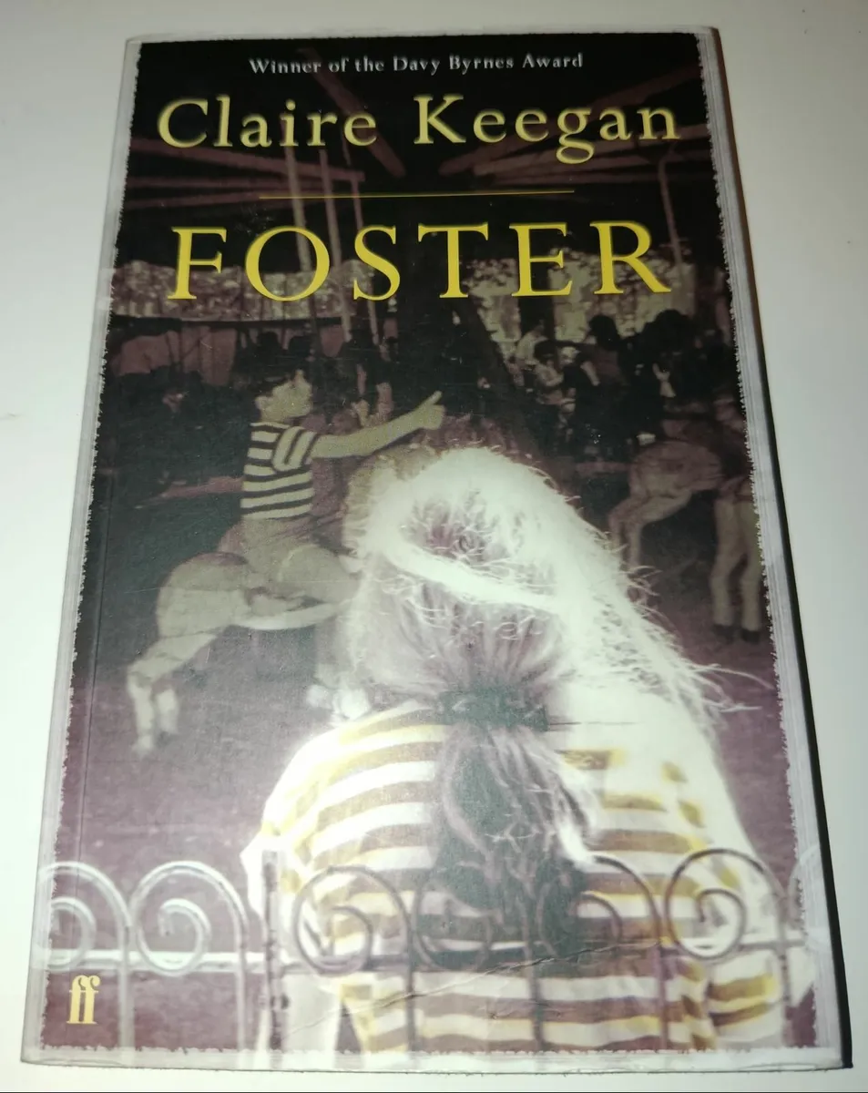 Novels: The Help, Foster, The Outsiders - Image 2
