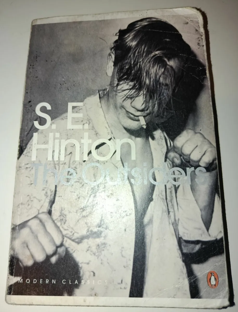 Novels: The Help, Foster, The Outsiders - Image 3