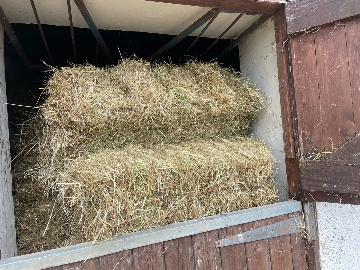 Small bales off hay - Image 2