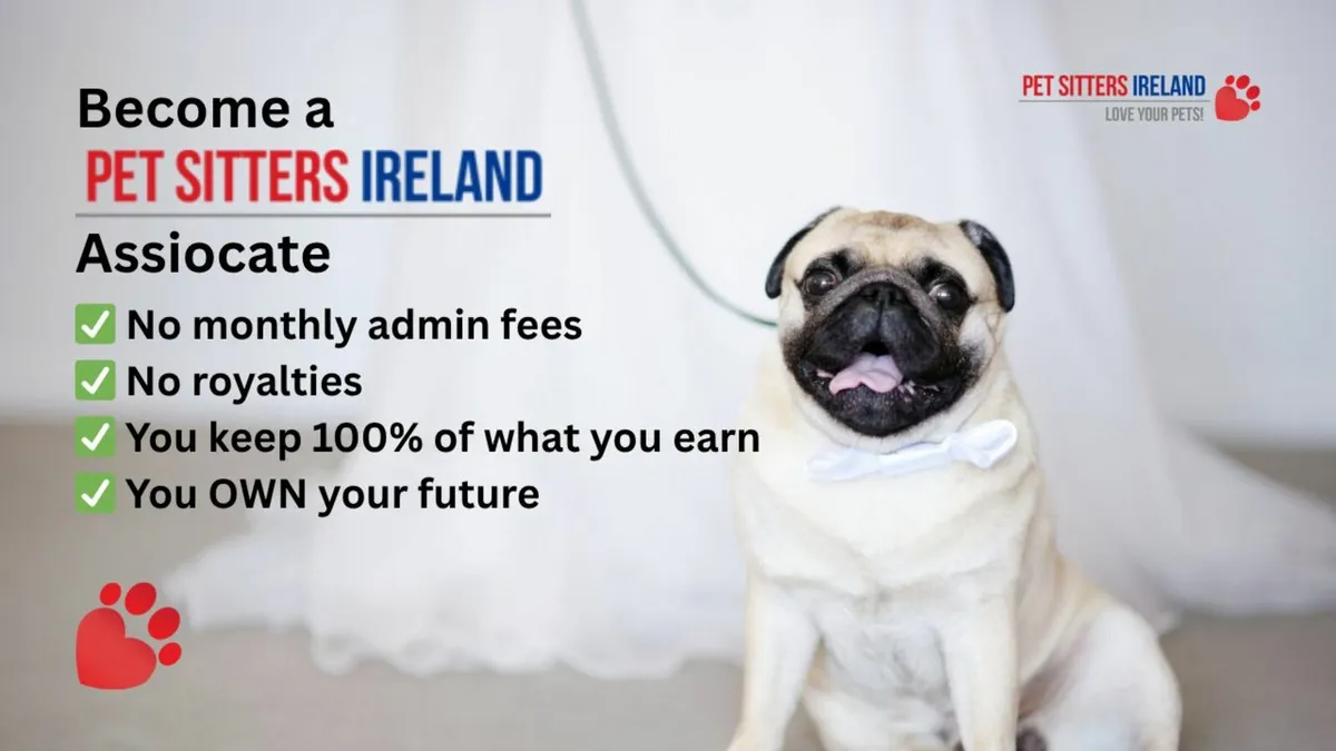 Your Dream Pet Business Starts Here - Image 3