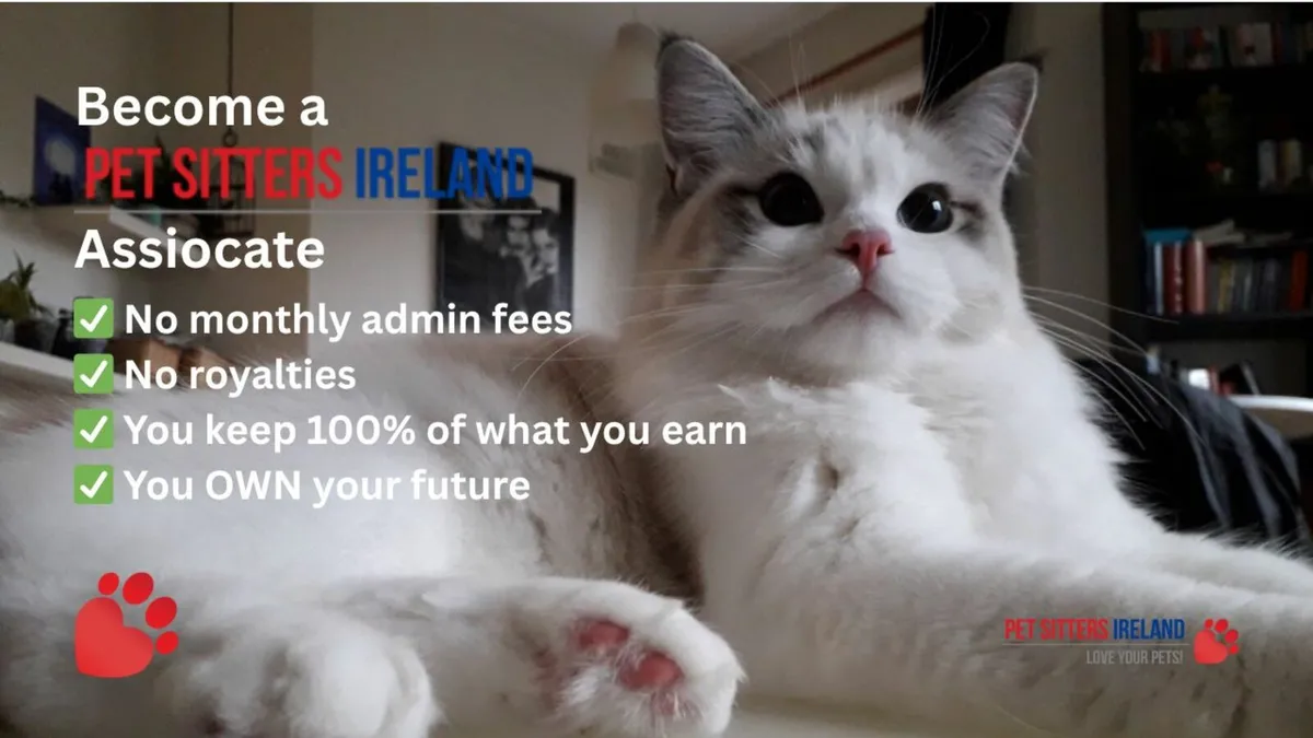 Your Dream Pet Business Starts Here - Image 4