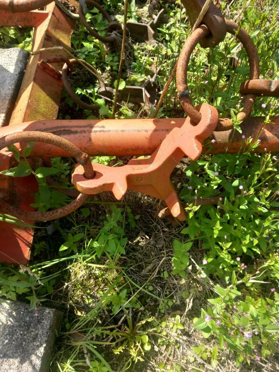 Chain Harrow - Image 4