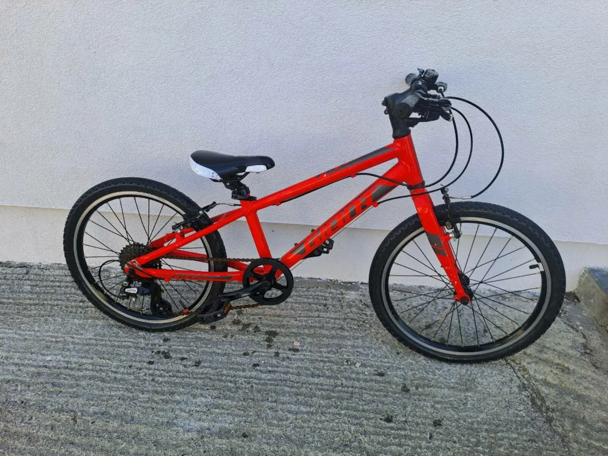 Giant bike - Image 1
