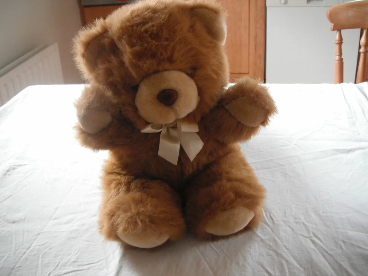 Cuddly Bear for Sale