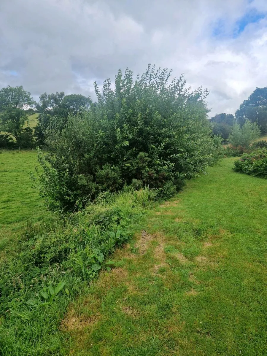 Groundworks available - Image 4