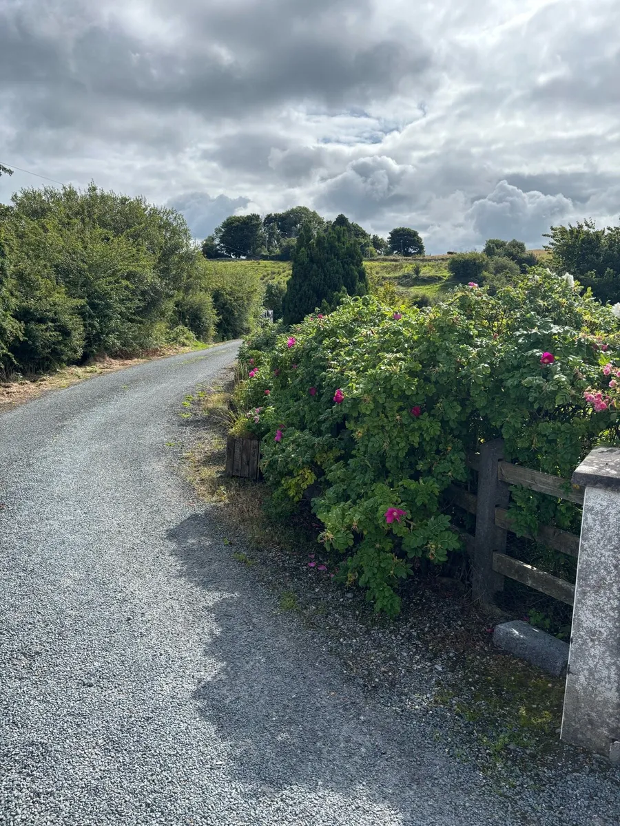 tar-chipping & tarmacadam - Image 2