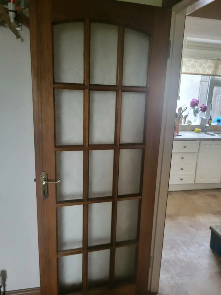 30 inch two glass Doors - Image 3