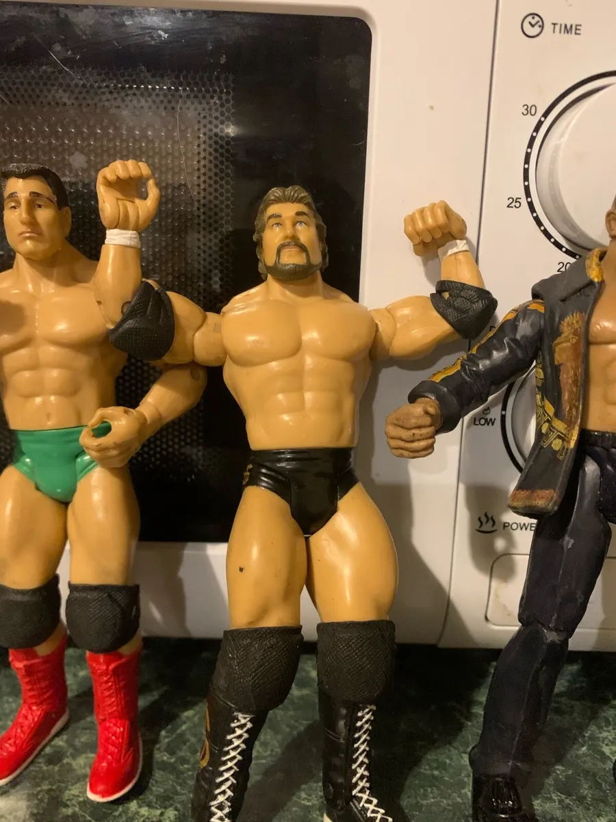 WWE Action Figures €8 each or €20 for all - Image 3