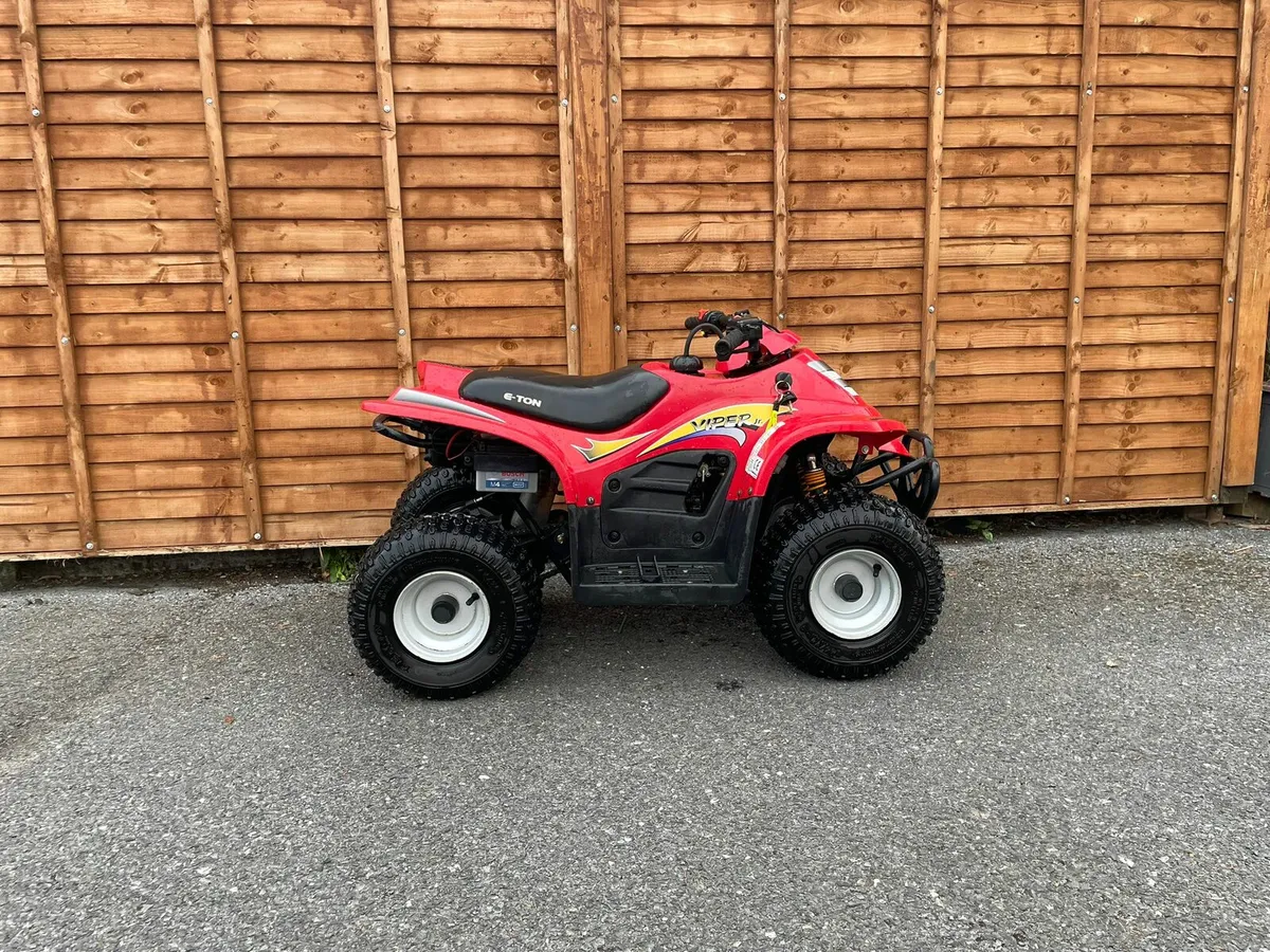 Eton Viper Jr 50cc Kids Quad - Image 2
