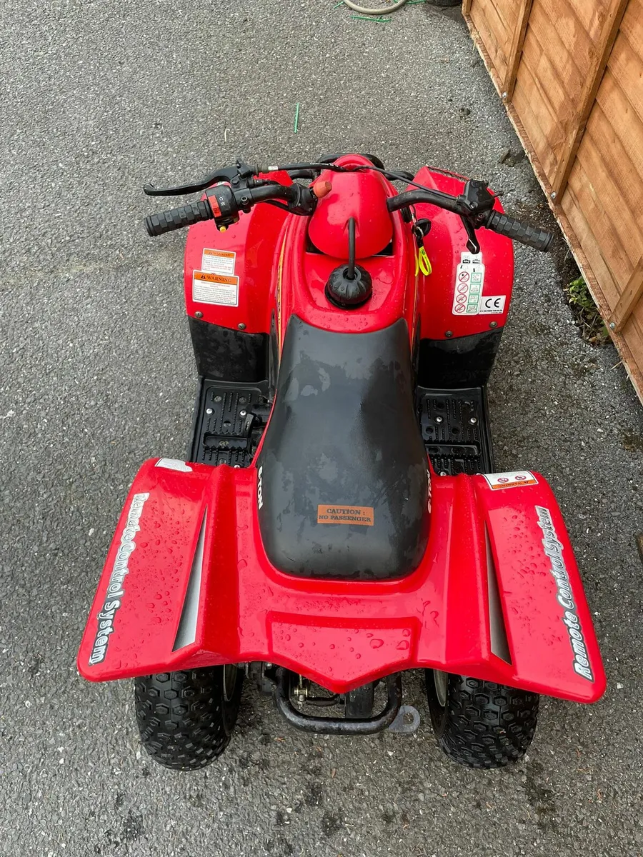 Eton Viper Jr 50cc Kids Quad - Image 3