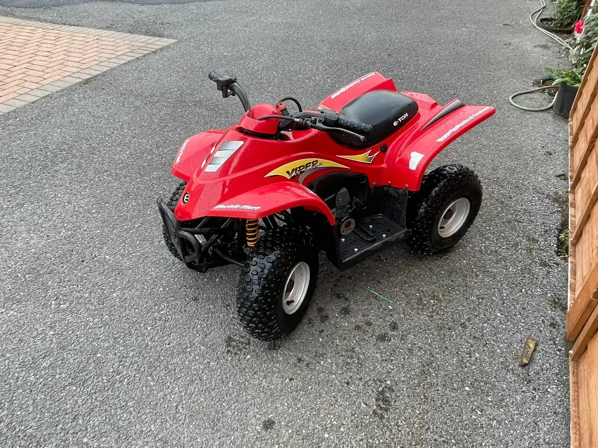 Eton Viper Jr 50cc Kids Quad - Image 4