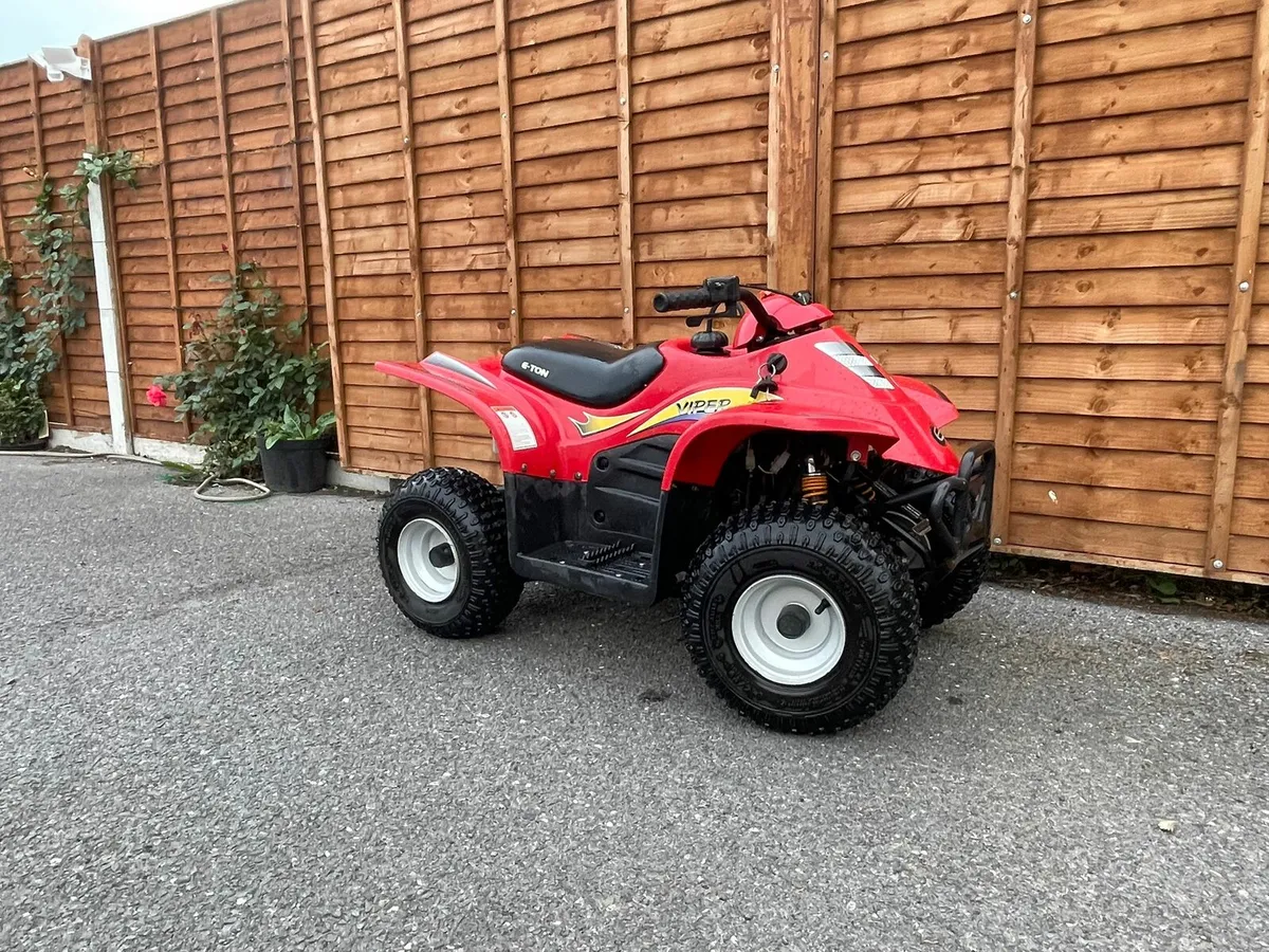 Eton Viper Jr 50cc Kids Quad - Image 1