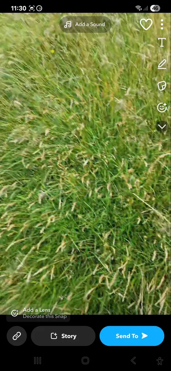 Square bails of quality hay - Image 4
