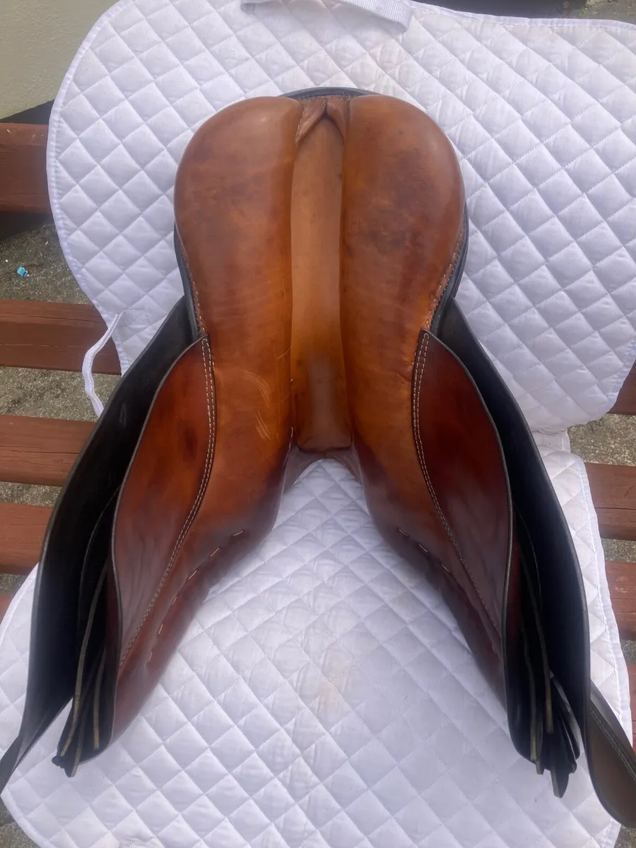 Stübben Saddle - Image 2