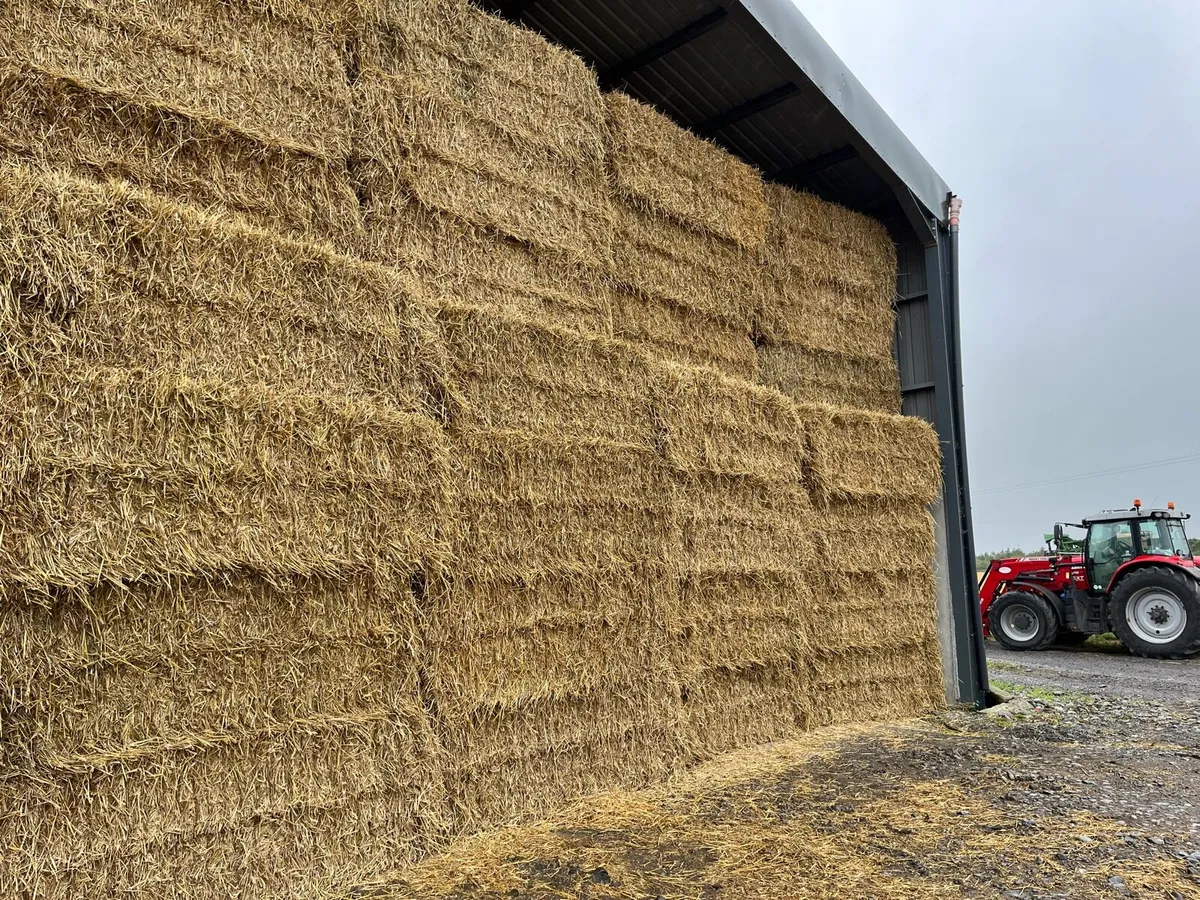 Wheaten Straw