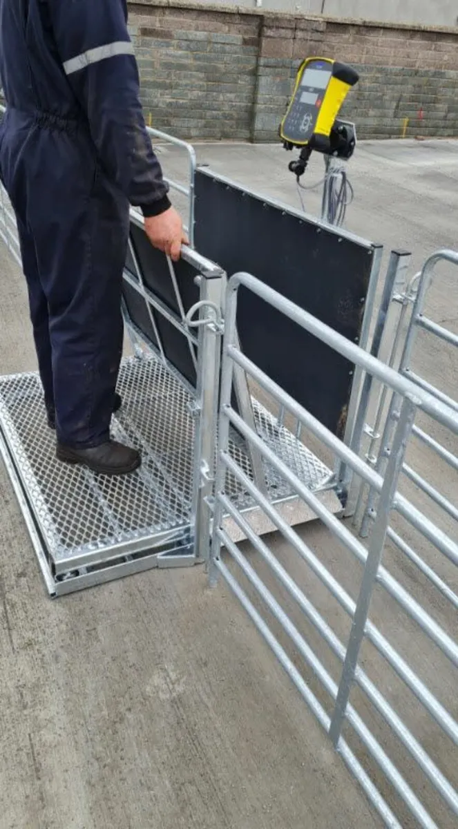 Fast Weigh squeeze Crate - Image 1