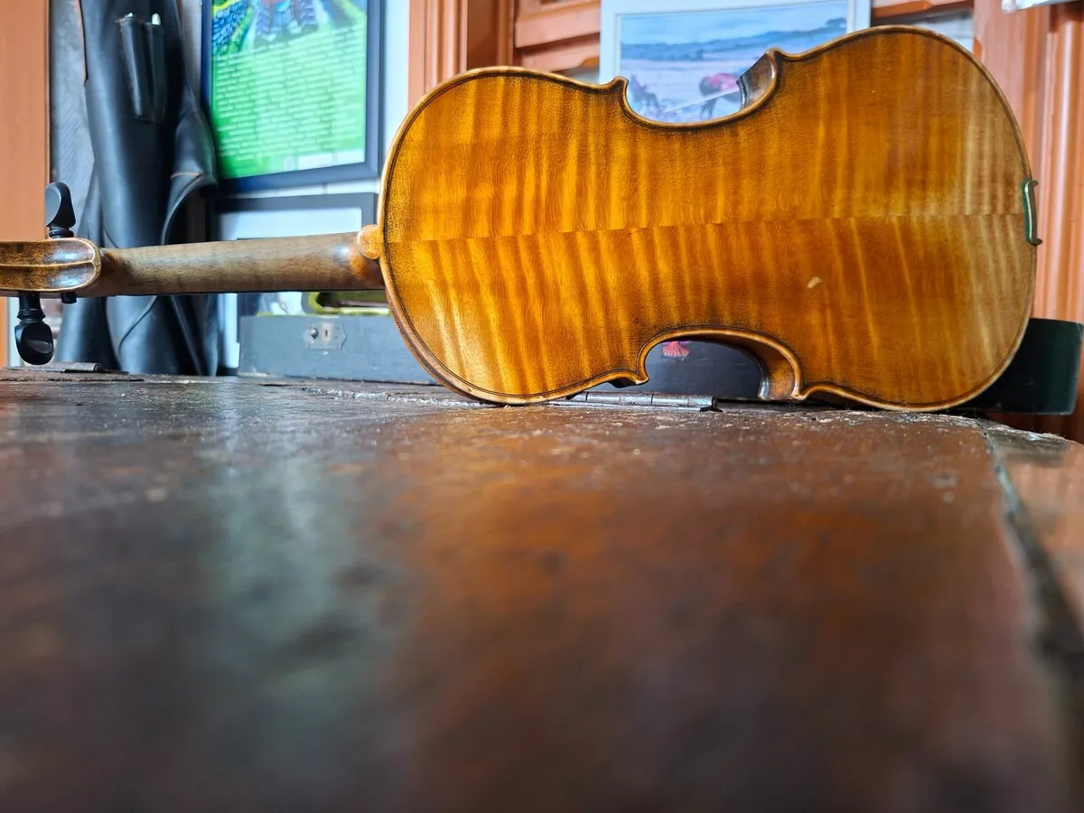 Violins - Image 2