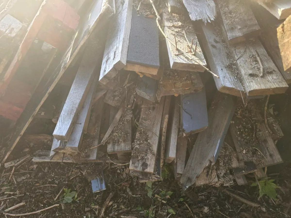 Mixed timber - Image 2