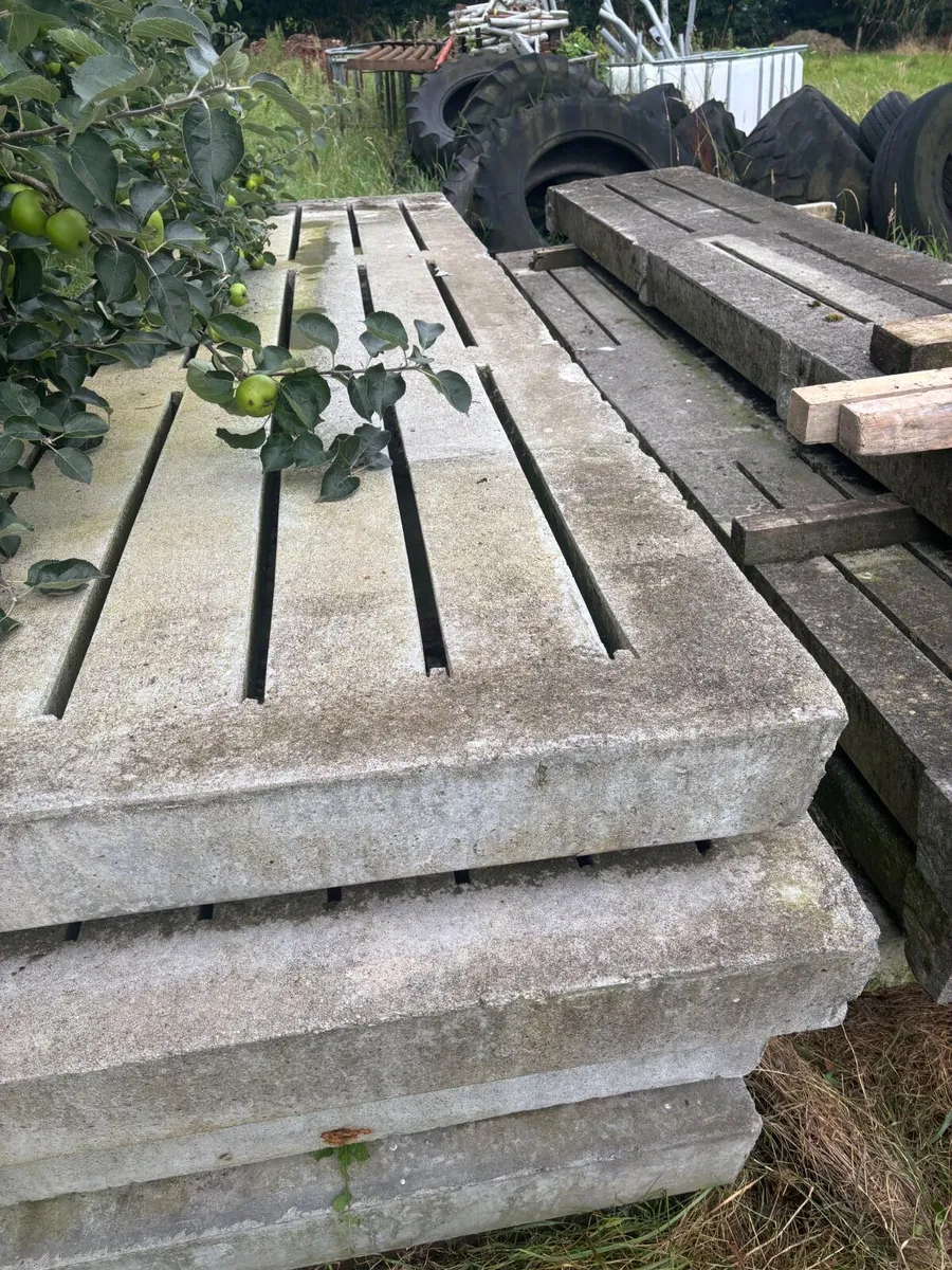 Pig Slats for Sale - Image 2