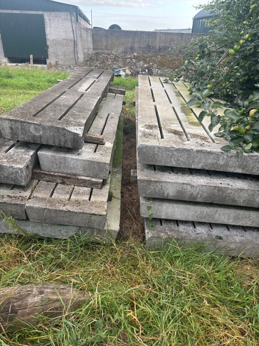 Pig Slats for Sale - Image 4