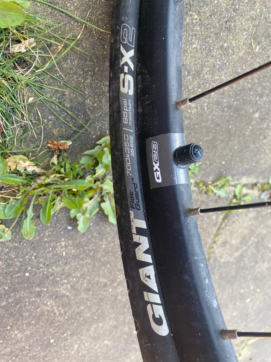 Bike - Image 2