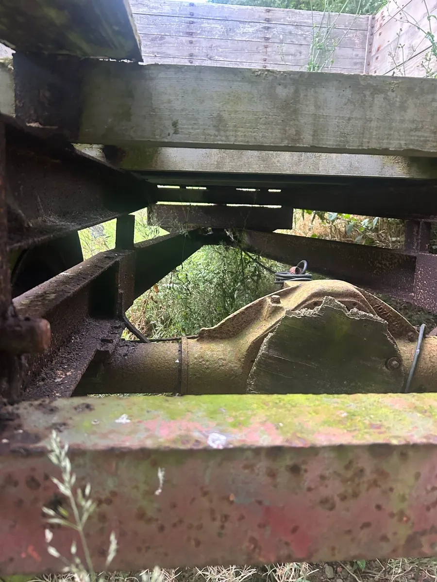 Trailer 7x11 vintage / bog / cattle feed project - Image 2