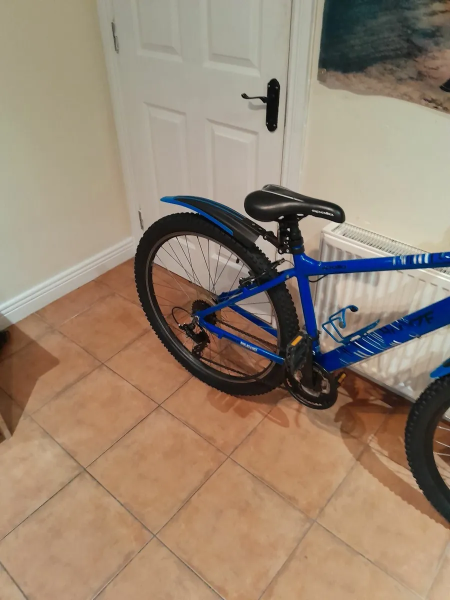 Bicycle - Image 4