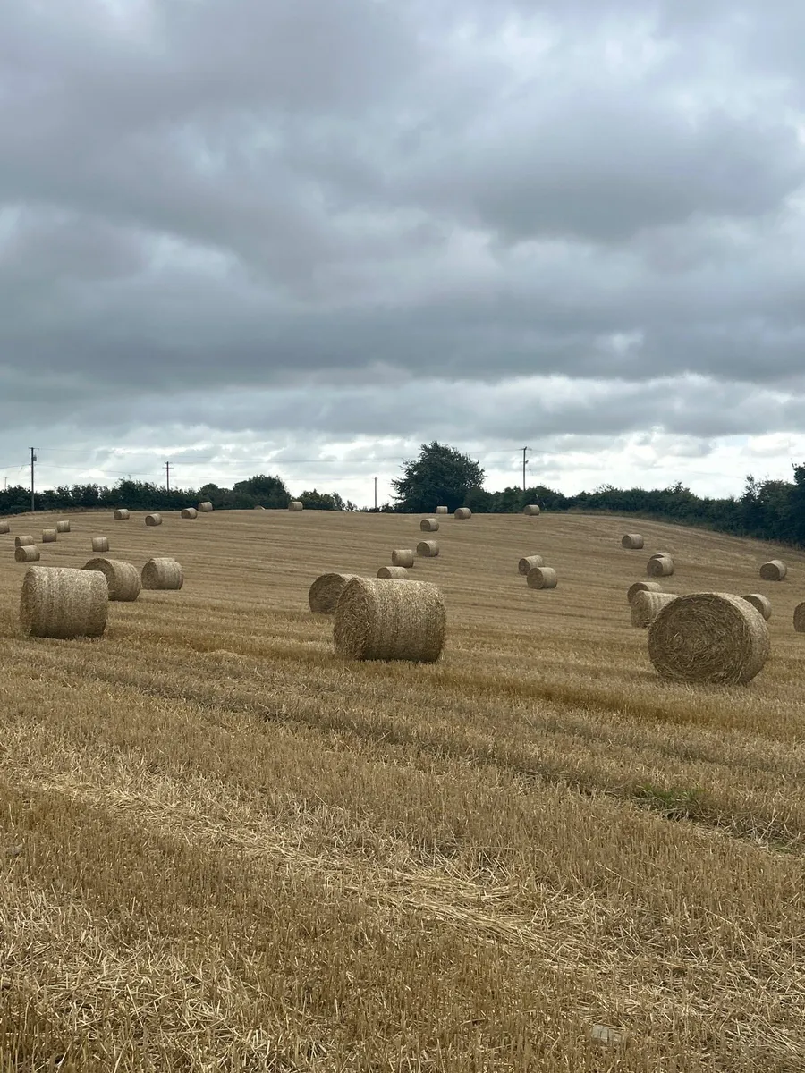Wheaten straw 4x4 - Image 1