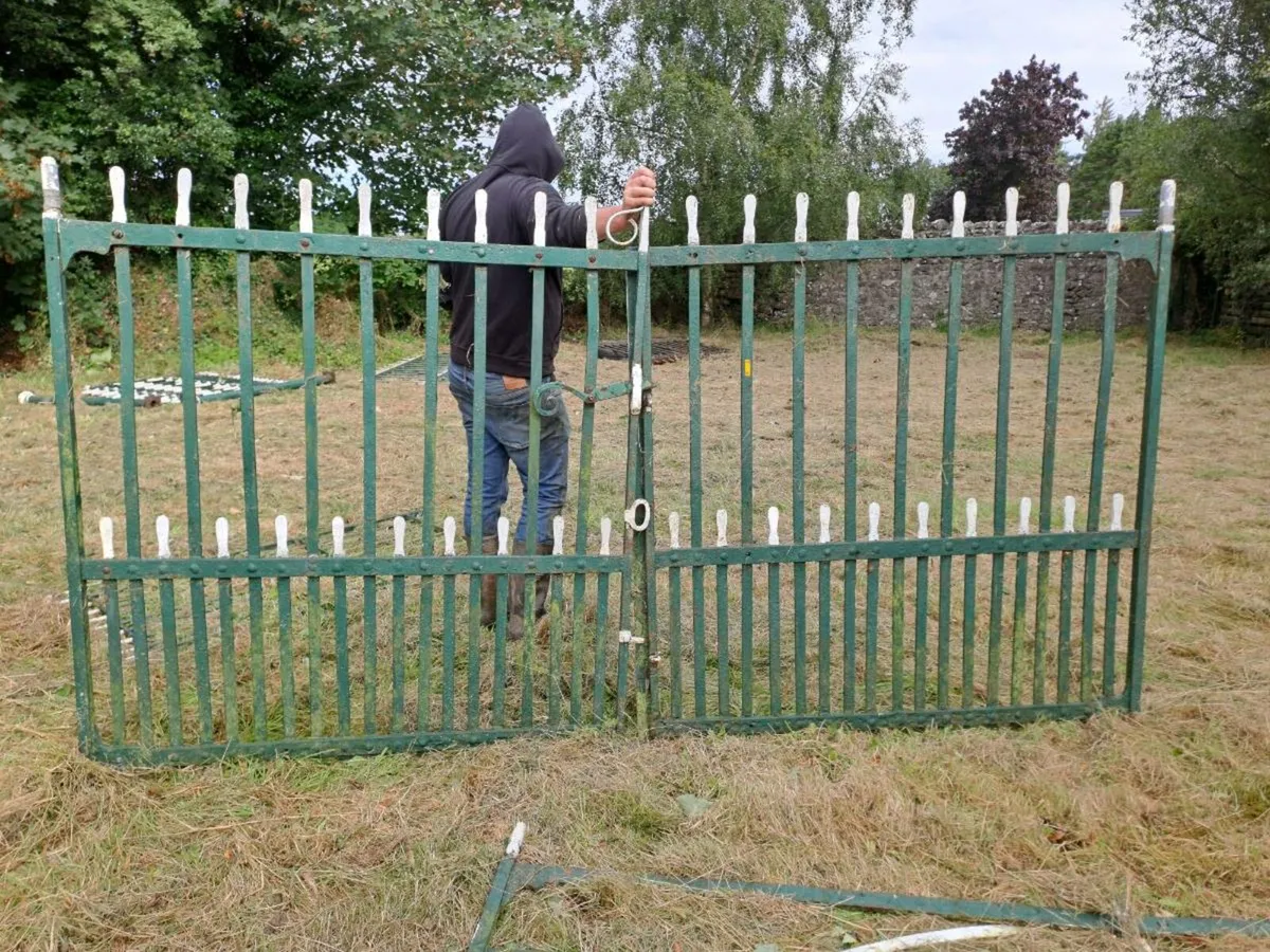 Antique gates - Image 4